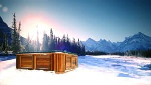 Arctic Spas hot tub in the snow in the forest